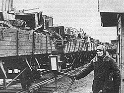 Эшелоны шли в Прииртышье…